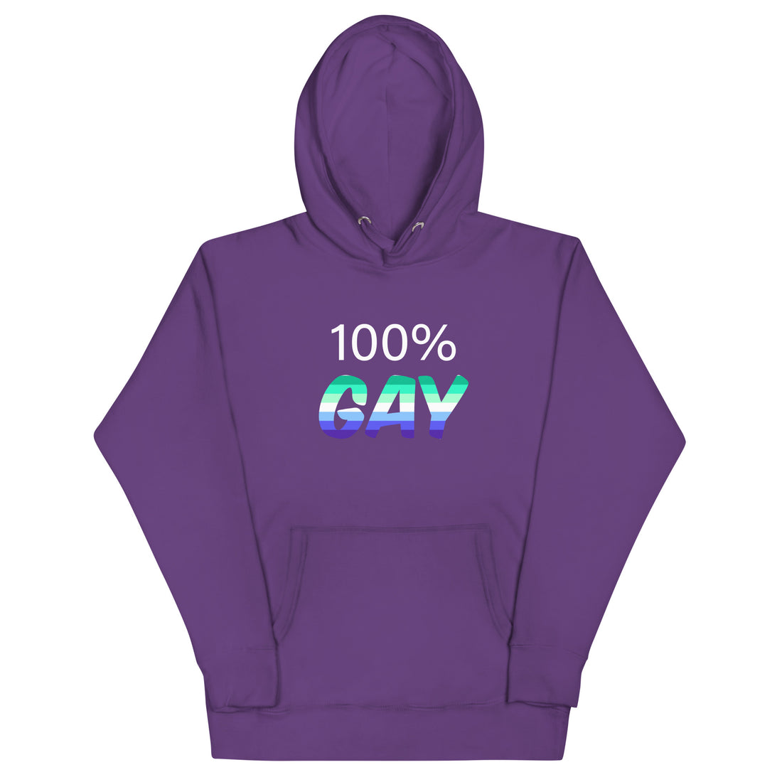 100 percent gay Hoodie